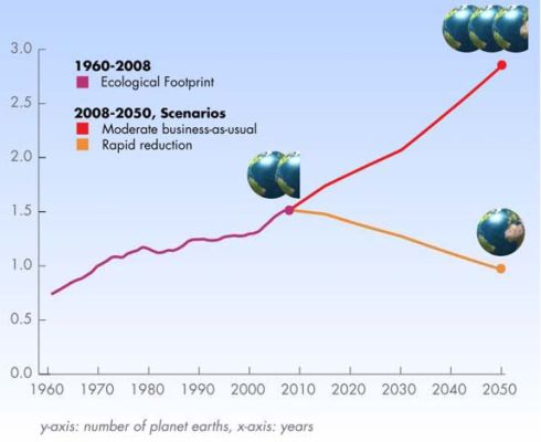 PEGADA ECOLÓGICA DOS SERVIÇOS MUNICIPAIS DE VILA REAL (2014)